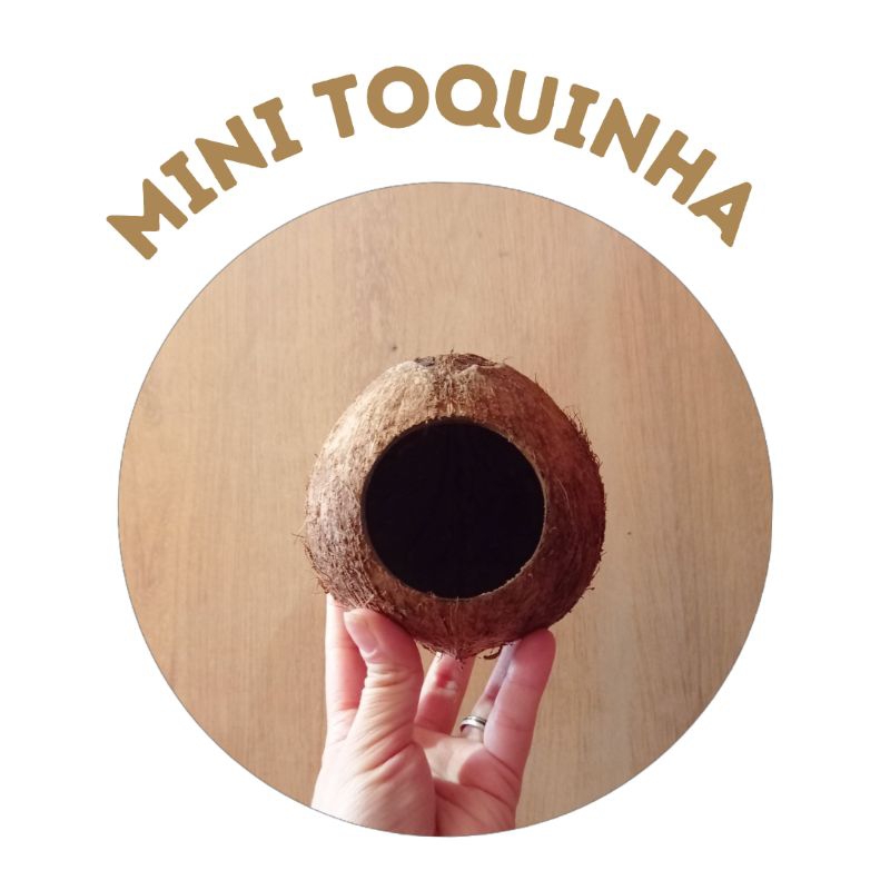 Mini toca de Coco para pequenos roedores