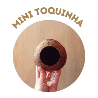 Mini toca de Coco para pequenos roedores em Oferta na Shopee