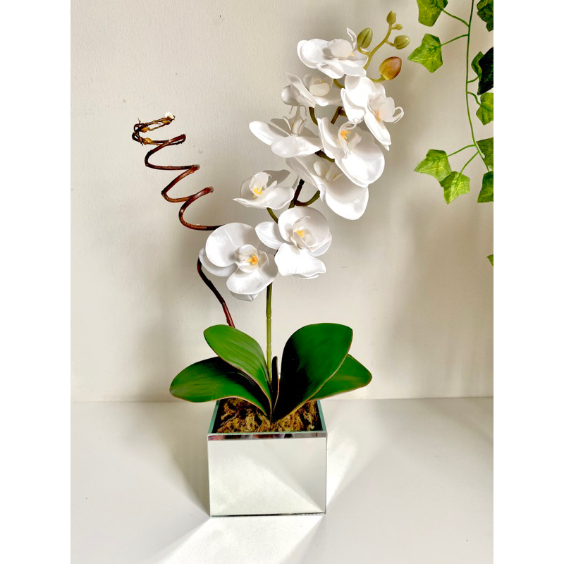 Arranjo Orquídea Mesa Jantar: Onde Comprar | BuscaProdutos