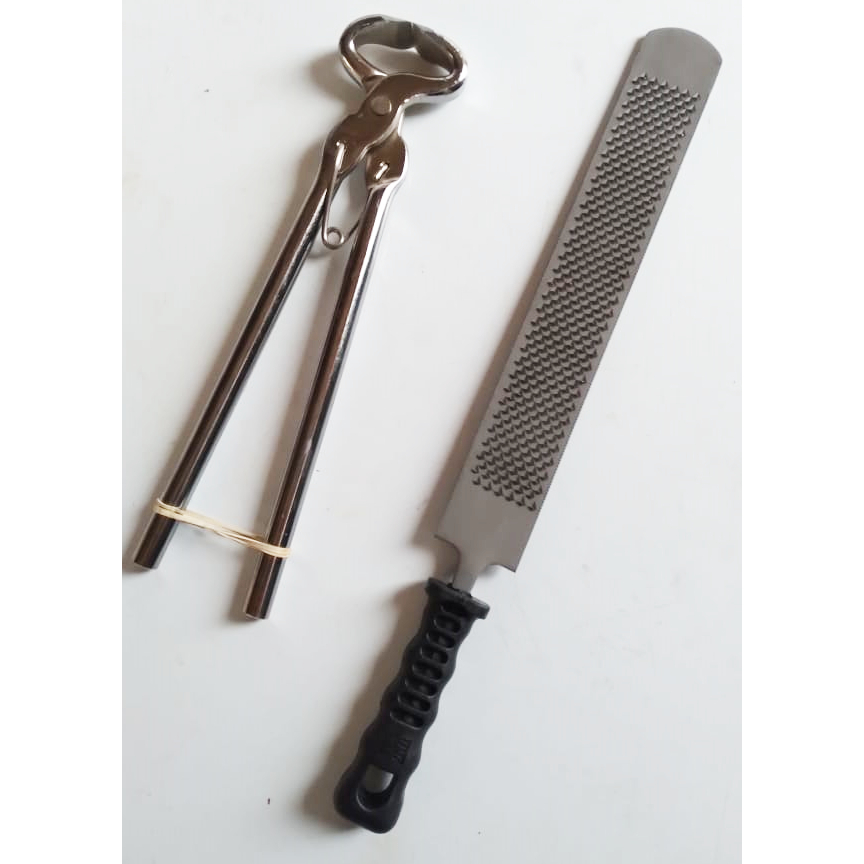 Kit Grosa Lima Torquesa Torques Para Cavalo