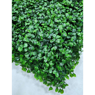 Placa de buchinho verde/Samambaia/Eucalipto 0,40mx0,30m