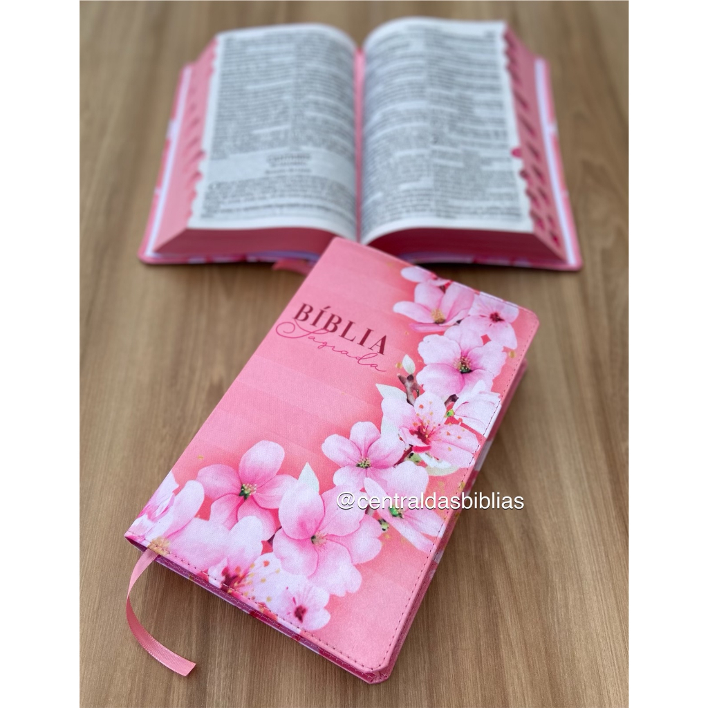 Bíblia Rosa Letra Grande com Harpa: Onde Comprar | BuscaProdutos