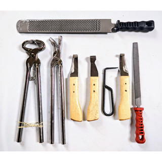 Kit Ferrador Casqueamento Ferrageamento Cavalo Lima