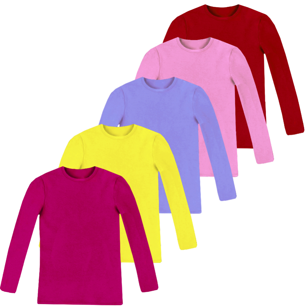 Blusa Infantil Básica Manga Longa Kit Com 05 Blusinhas