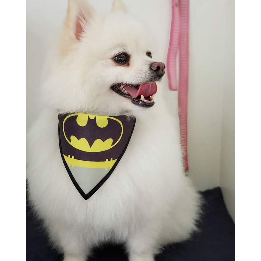 50 Bandanas Tamanho M Com Viés Estampas Variadas Pet Shop Cachorro