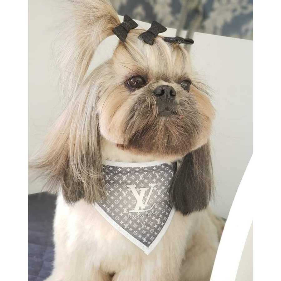 50 Bandanas P M G, 15 P, 25 M, 10 G, Com Viés Estampas Variadas Pet Shop