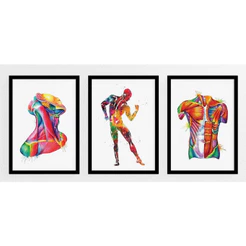 Kit Quadros Decorativo Mosaico 90X50 3 peças MDF Músculos Corpo Humano Anatomia Colorido Consultório