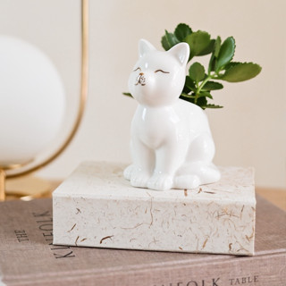Cachepot Vaso Gato Gatinho Branco Dourado Porcelana 14x11 cm