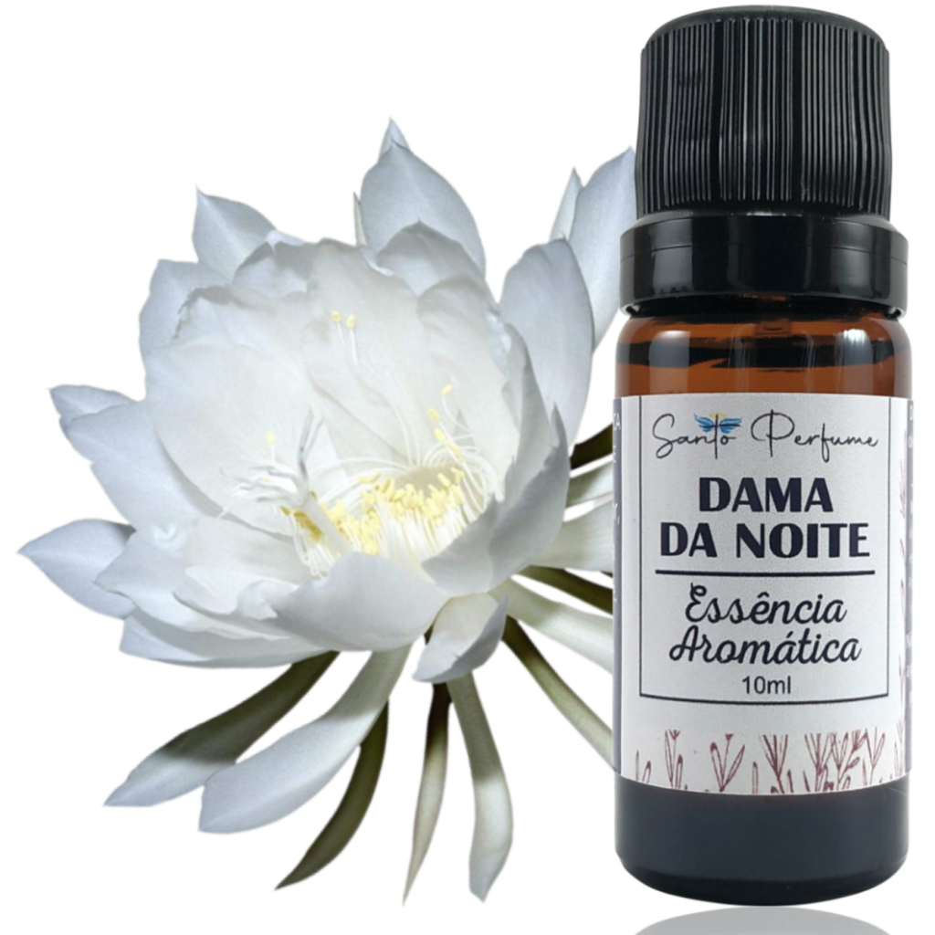 Dama da Noite Perfume: Onde Comprar | BuscaProdutos