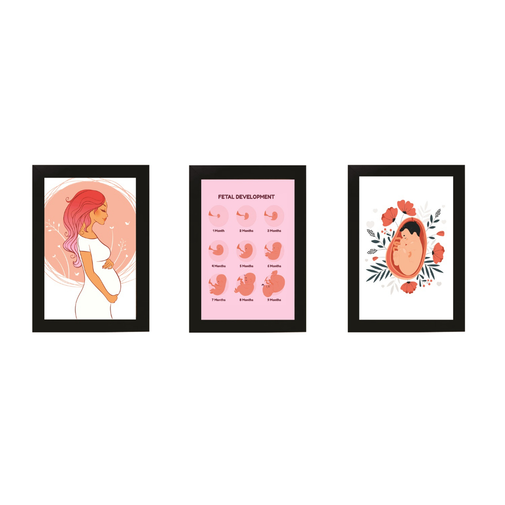 Kit 3 Quadros Consultório Médico Gestante Gestação Tamanho 20x30cm Molduras Madeira Vidro Cor Pretas