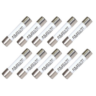 Kit Com 10 Fusível Cerâmico 20a Para Micro-ondas 6x30