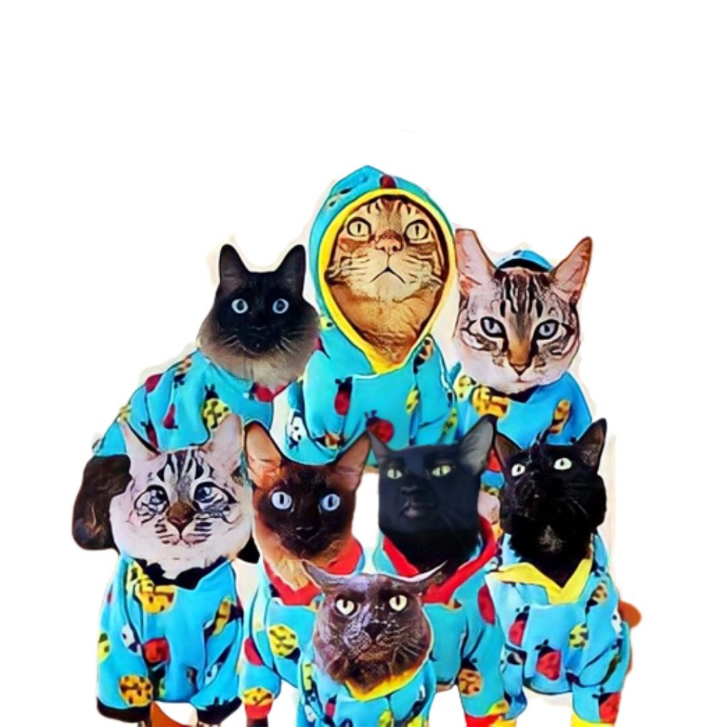 Roupa pet inverno soft , roupa pet para o frio roupa de frio para gato roupa de frio para cachorro roupa pet inverno Roupa pet Soft, Sueter de soft para cães, roupa de frio pet,  roupa pet de moletom roupa pet de lã