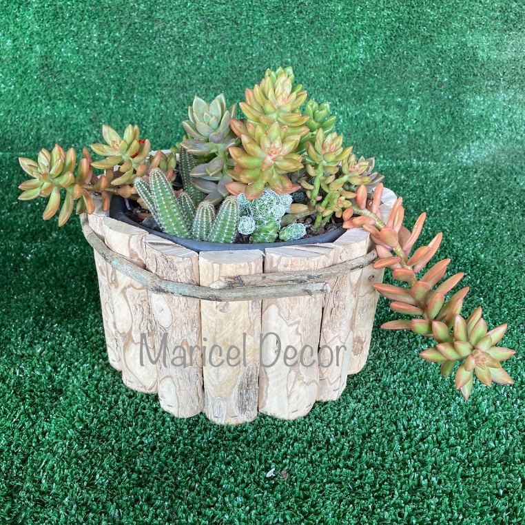 Vaso Cachepô 22x15cm Azaléia Madeira Café Rústico