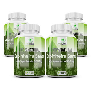 Kit 4 Potes Espinheira Santa 100% Natural 240 Cápsulas 500mg