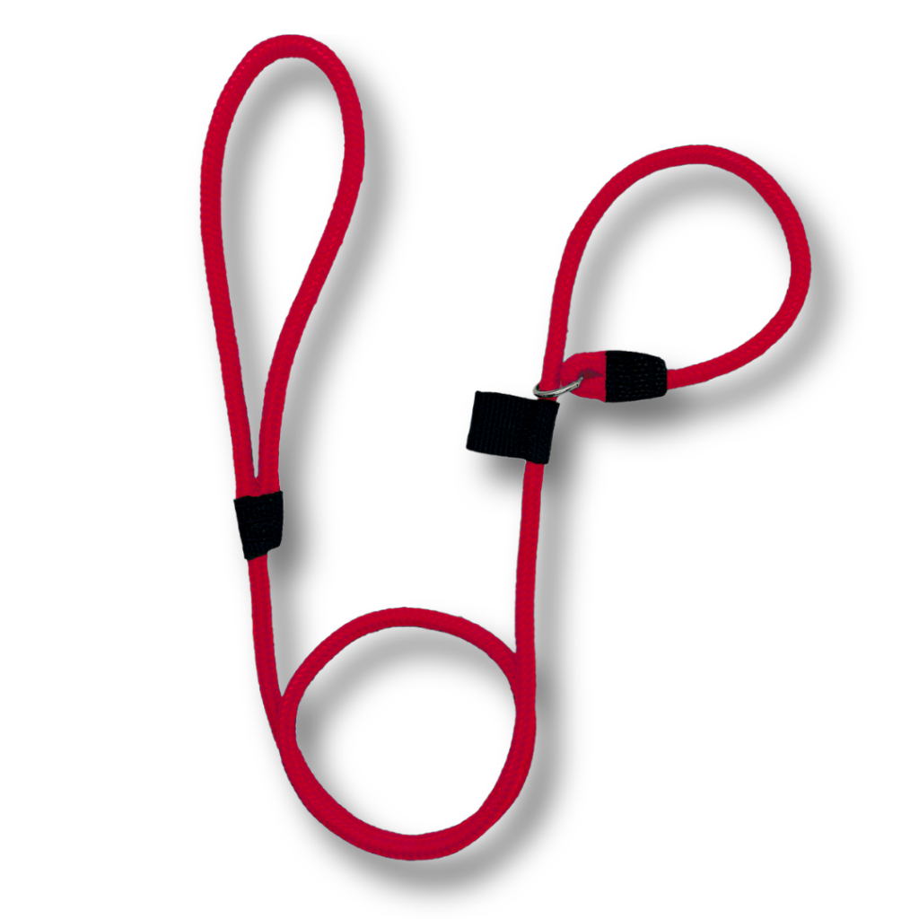 Guia Unificada Adestramento De Cães Coleira Educativa Passeio em Oferta na Shopee