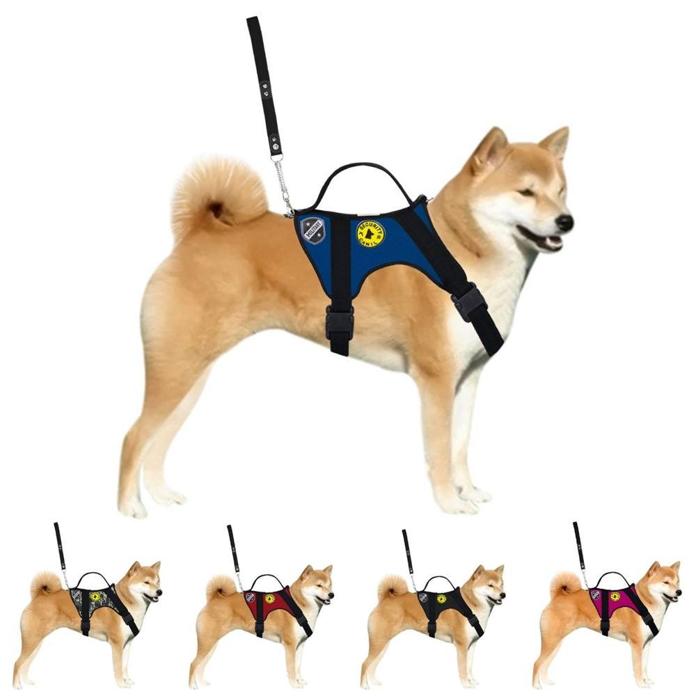 Peitoral Tático Para Cães Treinamento Adestramento Com Guia