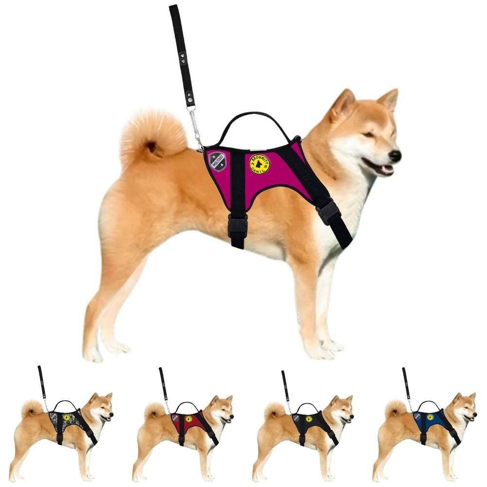 Peitoral Tático Para Cães Treinamento Adestramento Com Guia
