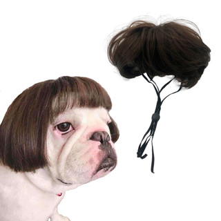 Peruca Pet Cabelo Curto Liso Estilo Chanel Nerd Cães Gatos