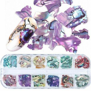 Kit Estojo C/12 Madre Perola Furta Cor Para Decoração De Unhas