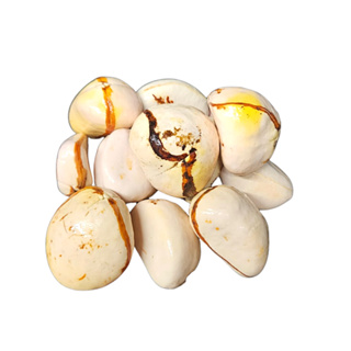 Obi Nacional Branco Candomblé E Umbanda - Kit c/ 3 Unidades em Oferta na Shopee