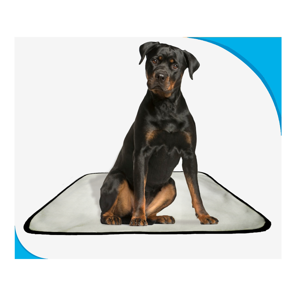 Tapete Higiênico Lavável reutilizável, durável, impermeável, super absorção, 200 lavagens