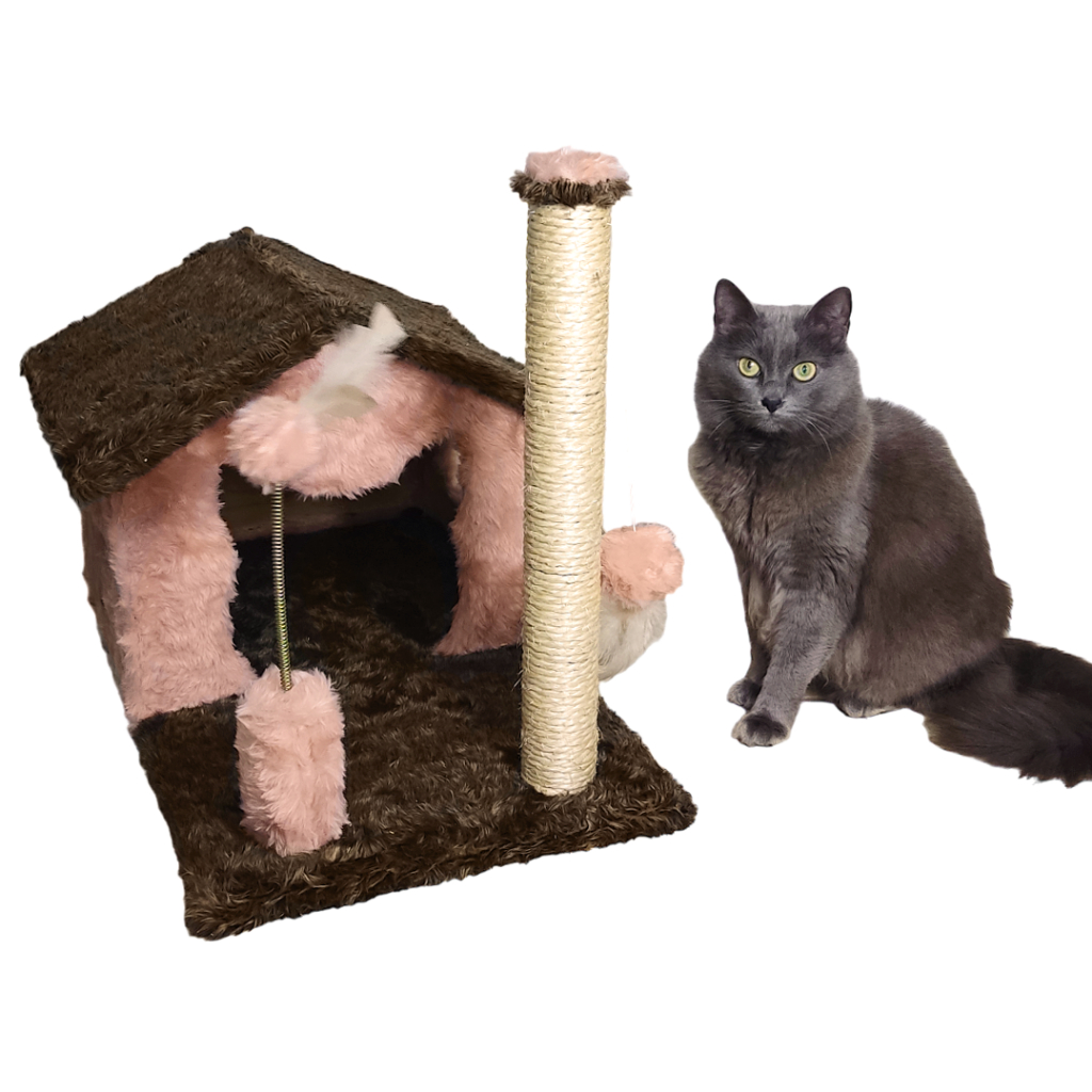 Brinquedo Pra Gato: Onde Comprar | BuscaProdutos