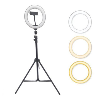 RingLight 10 Polegadas Led 3 Cores com Tripe 2,10m