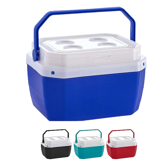 Cooler Caixa Térmica Media 17 Litros 24 Latas Com Alça Praia Camping Pesca em Oferta na Shopee