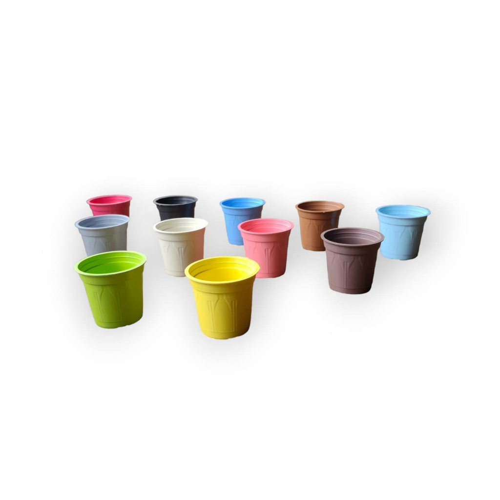 Kit 11 Mini Vasos Coloridos Suculenta/cacto Vasinho