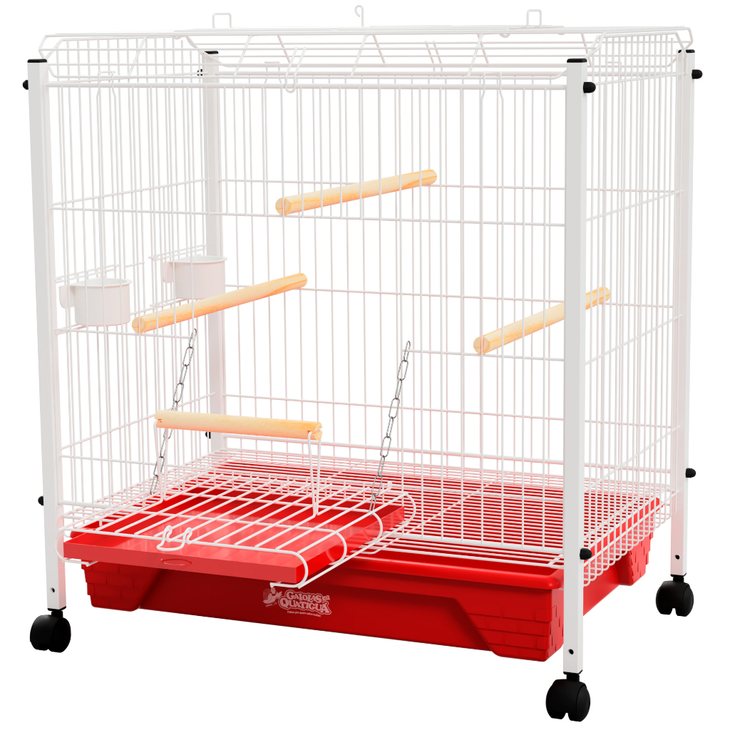 Viveiro de Chão e Parede para Calopsita Ringneck Aves Mansas