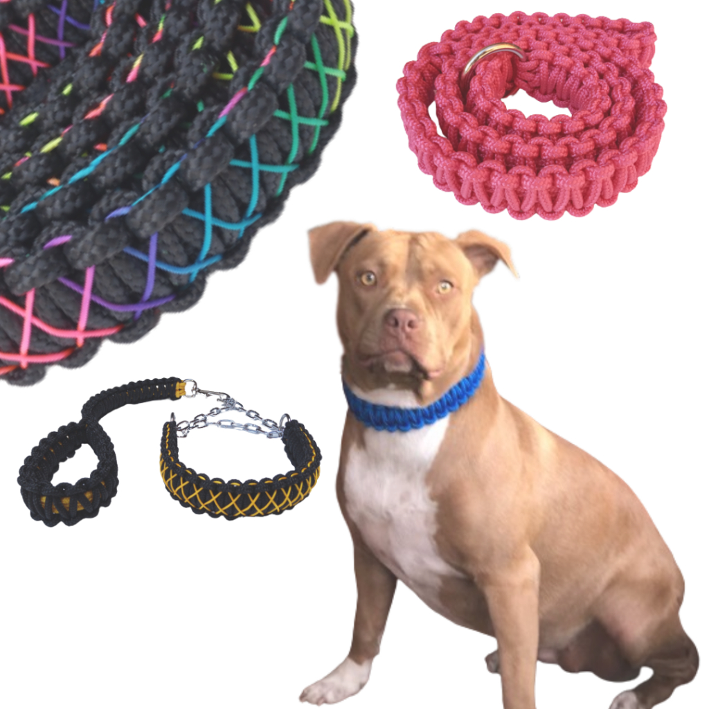 Guia Enforcador Artesanal Pet Unificado Coleira para Cachorro Pitbull Cães Médio Grande Trançada Pit Monster INOX Golden
