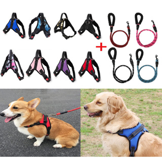 Kit Guia De Corda Reforçada+Peitoral Coleira Com Regulagem Dupla Trava De Segurança Para Pet Cachorro LR-0072 + LR-0134 em Oferta na Shopee