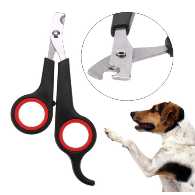 3 Maquina Para Tosar/ Tesoura De Unha Pet Profissional Promoção