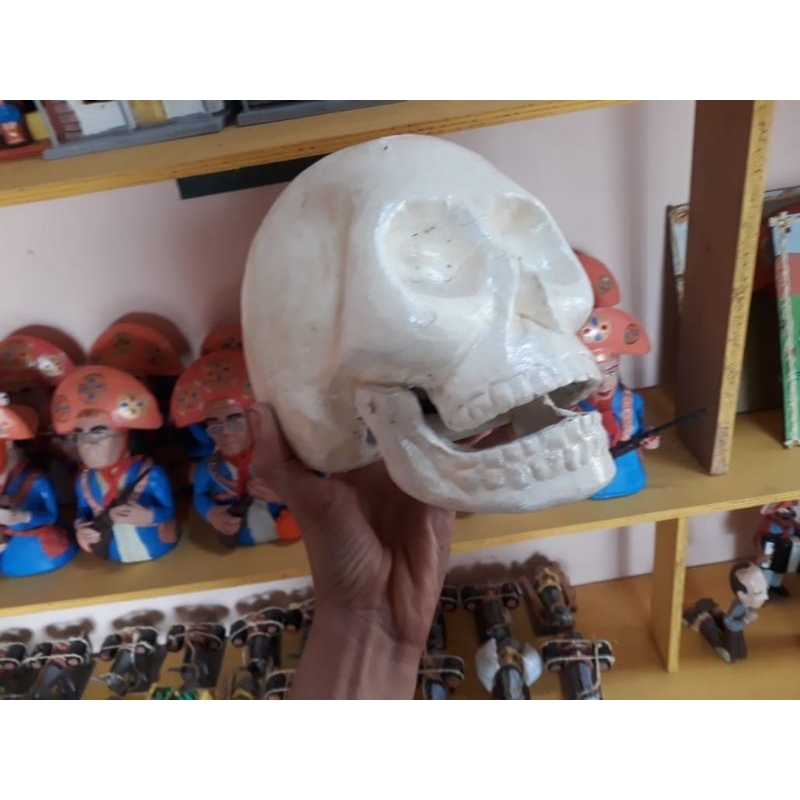 escultura de caveira tamanho real artesanal mexe a boca