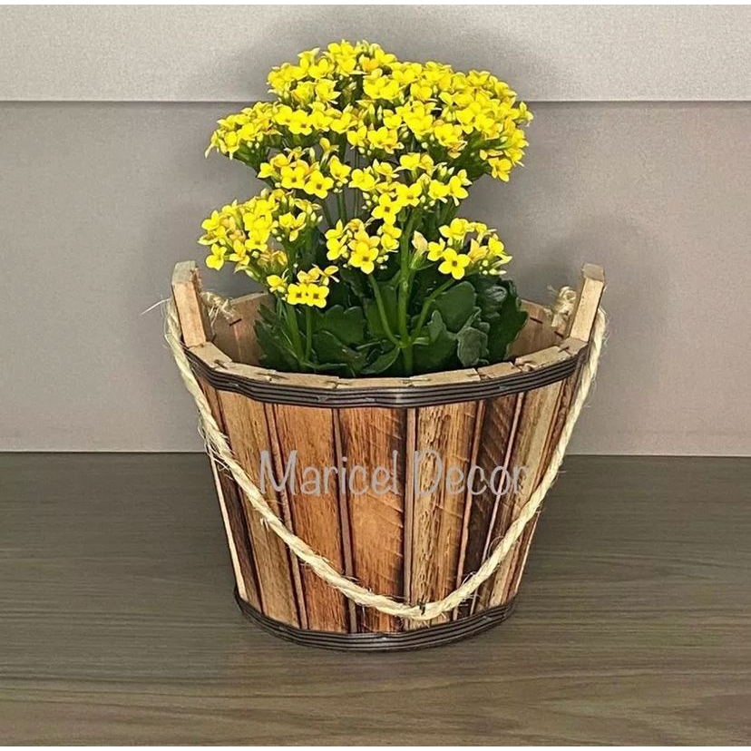 Kit 10pçs Vaso Cachepô Baldinho 20x15cm Crisântemo em Madeira