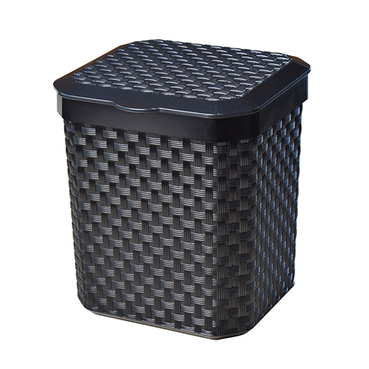 Kit Cozinha Lixeira Cesto De Lixo 5 Litros Com Rodinho Para Secar Pia