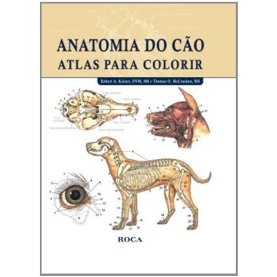 O que é Anatomia do Cão para Colorir? Guia e Onde Comprar | BuscaProdutos