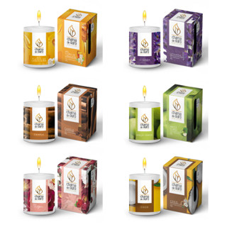 Vela Aromática Decorativa Perfumada 60g com Vários aromas para sua casa e escritório
