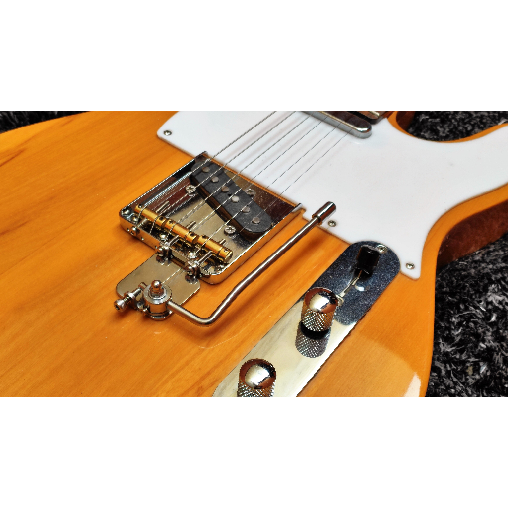 O que é Telecaster Seizi? Guia e Onde Comprar | BuscaProdutos