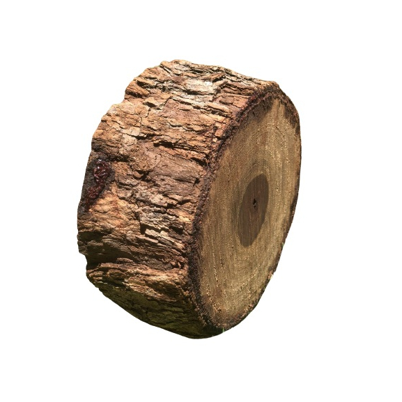 Madeira Artesanal Rústica Bolacha de Madeira  Real Tabua de Carne Base de Panela Decoração Pedestal
