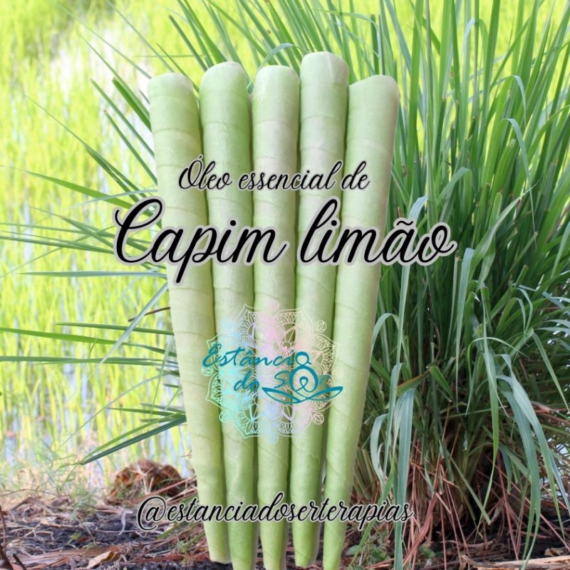 Cone Hindu Chinês 14 unidades Lemongrass Óleo Essencial com cera de abelha