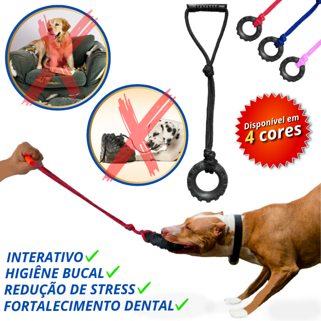 Cães de Guerra: Guia Completo e Onde Comprar | BuscaProdutos