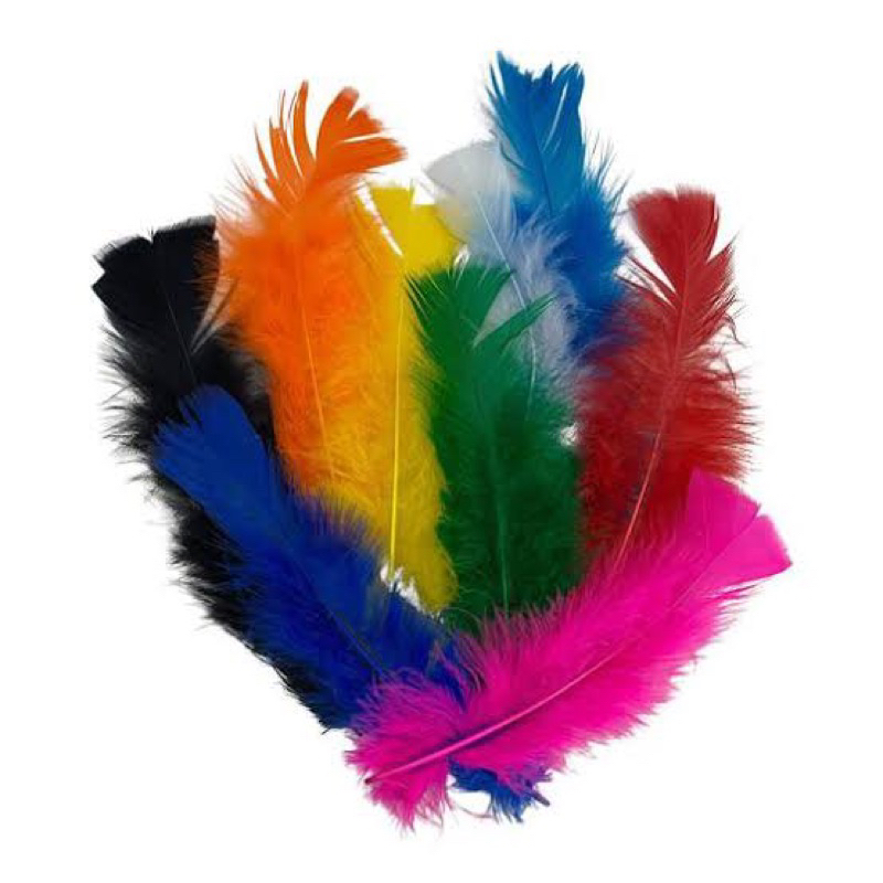 Pena Colorida Plumas 35 Pacotes com 3g