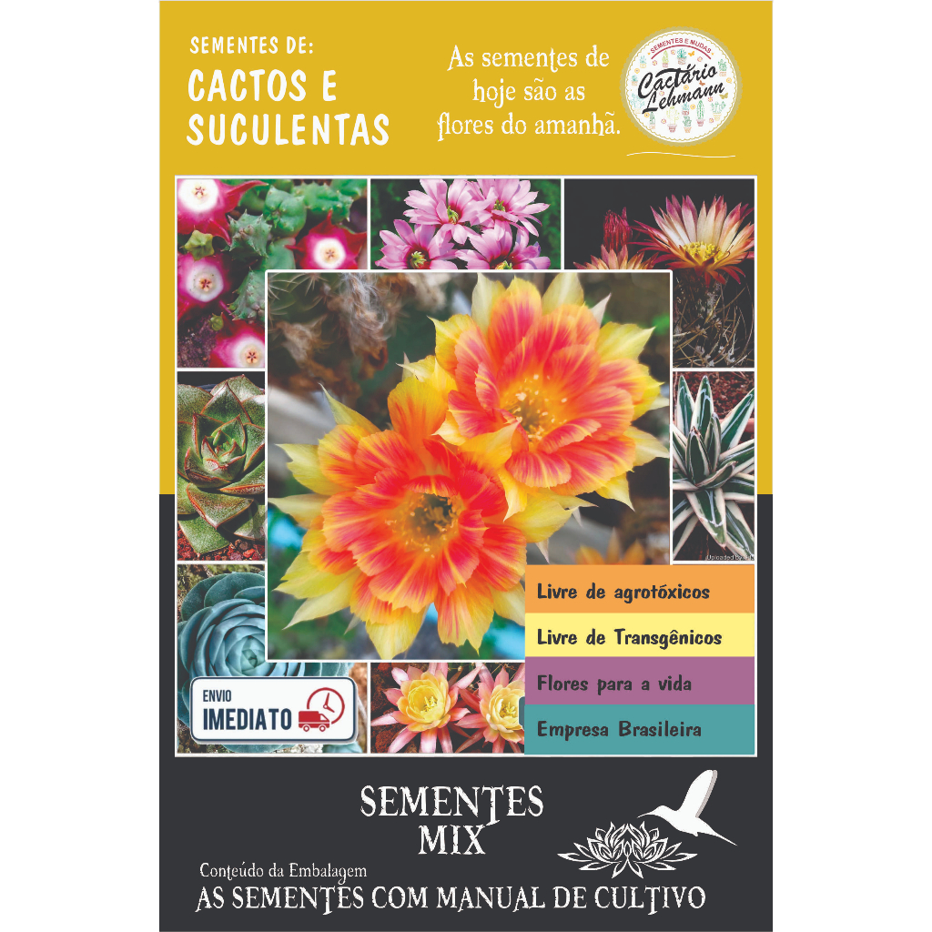 1000 Sementes Suculentas  e Mini Cacto com Manual de cultivo