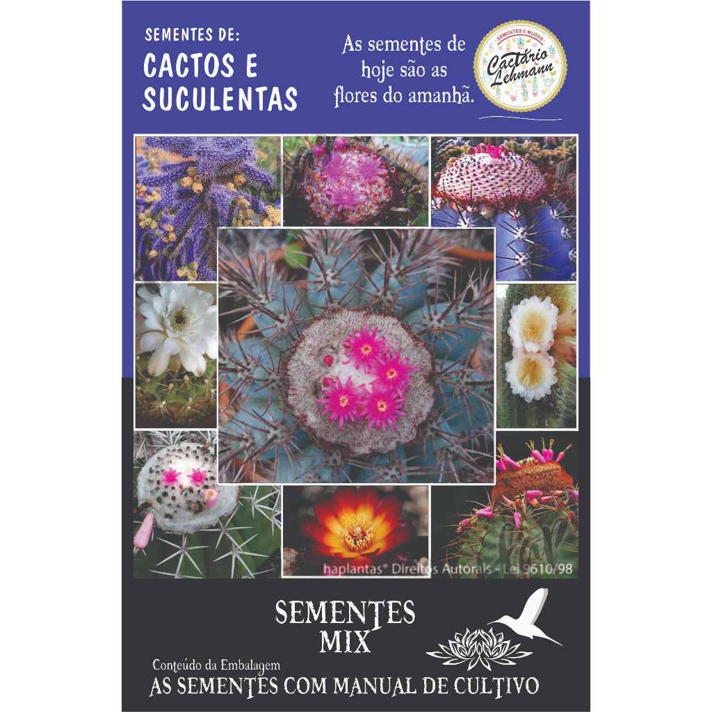 500 Sementes Cactos Melocactus Azureus Cabeça de Frade