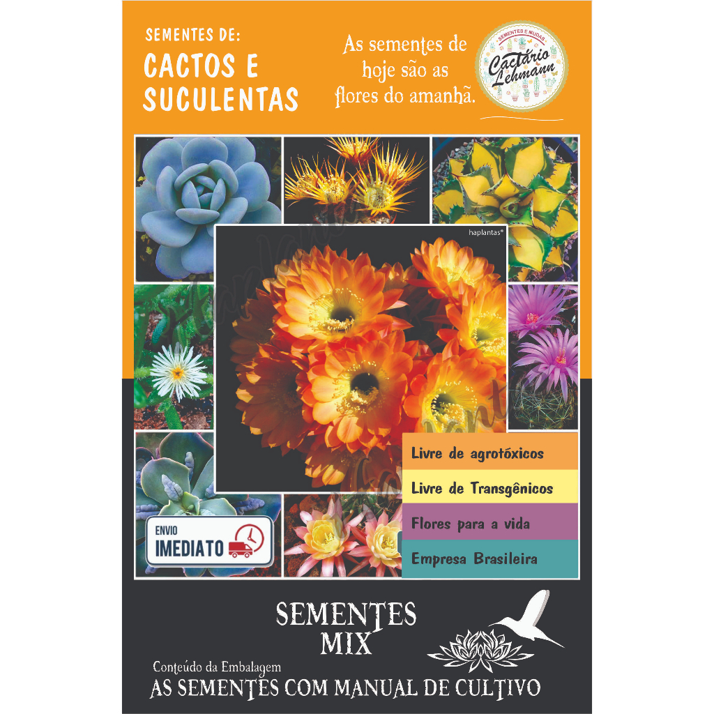Sementes Mix 500 Unidades Suculentas E Cacto + manual de cultivo