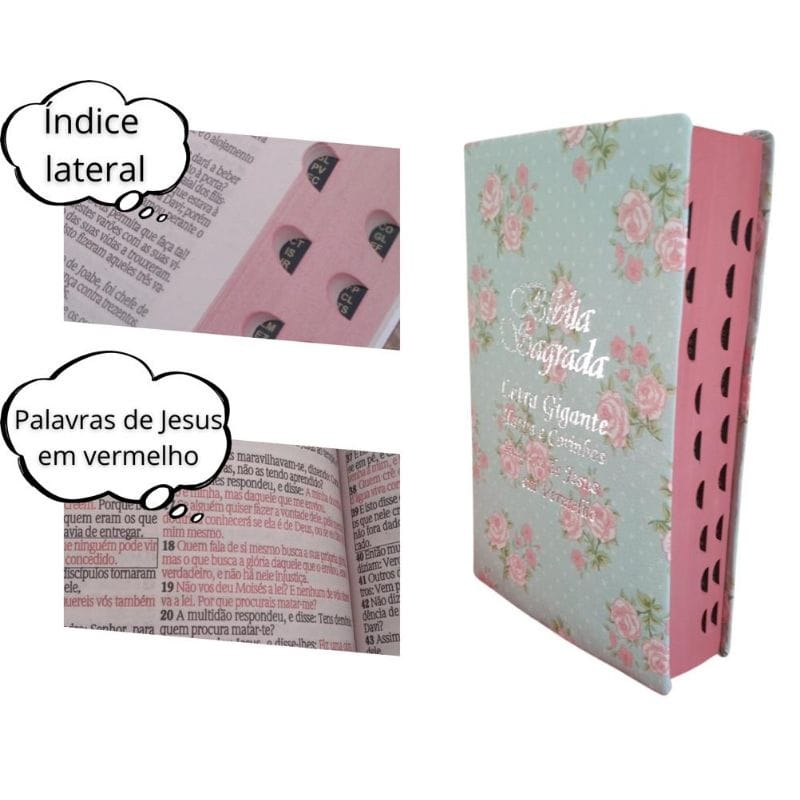 Kit 10  Bíblias Sagrada Tamanho Grande com Harpa Palavras de Jesus em Vermelho em Oferta na Shopee