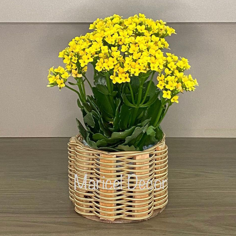 Vaso Cachepô 11x11cm Violeta Redonda de Fio em Oferta na Shopee