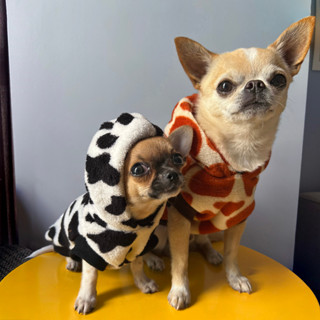 Roupa pet zoo com capuz para cachorro e gato estampa de vaquinha girafa