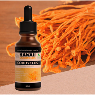 Extrato De Cordyceps Cogumelo 30ml